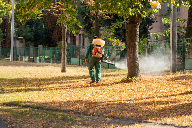 Best Pest Control for Homes  in USA